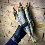 Корюшка велика з ікрою 50/50