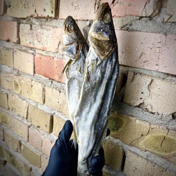 Судак в'ялений