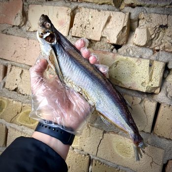 Чехонь в'ялена